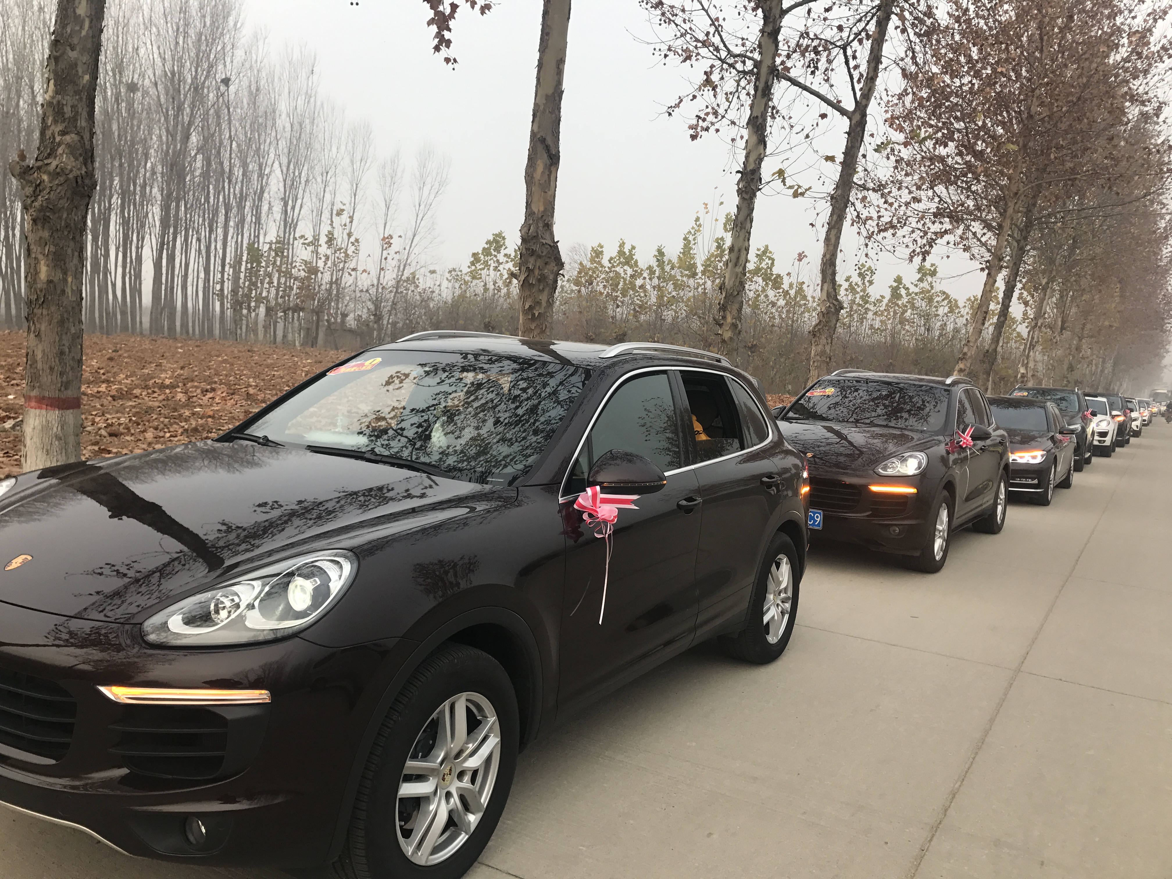 第183所 泰安市岱岳区良庄镇xingkong（中国）官方网站李娜小学