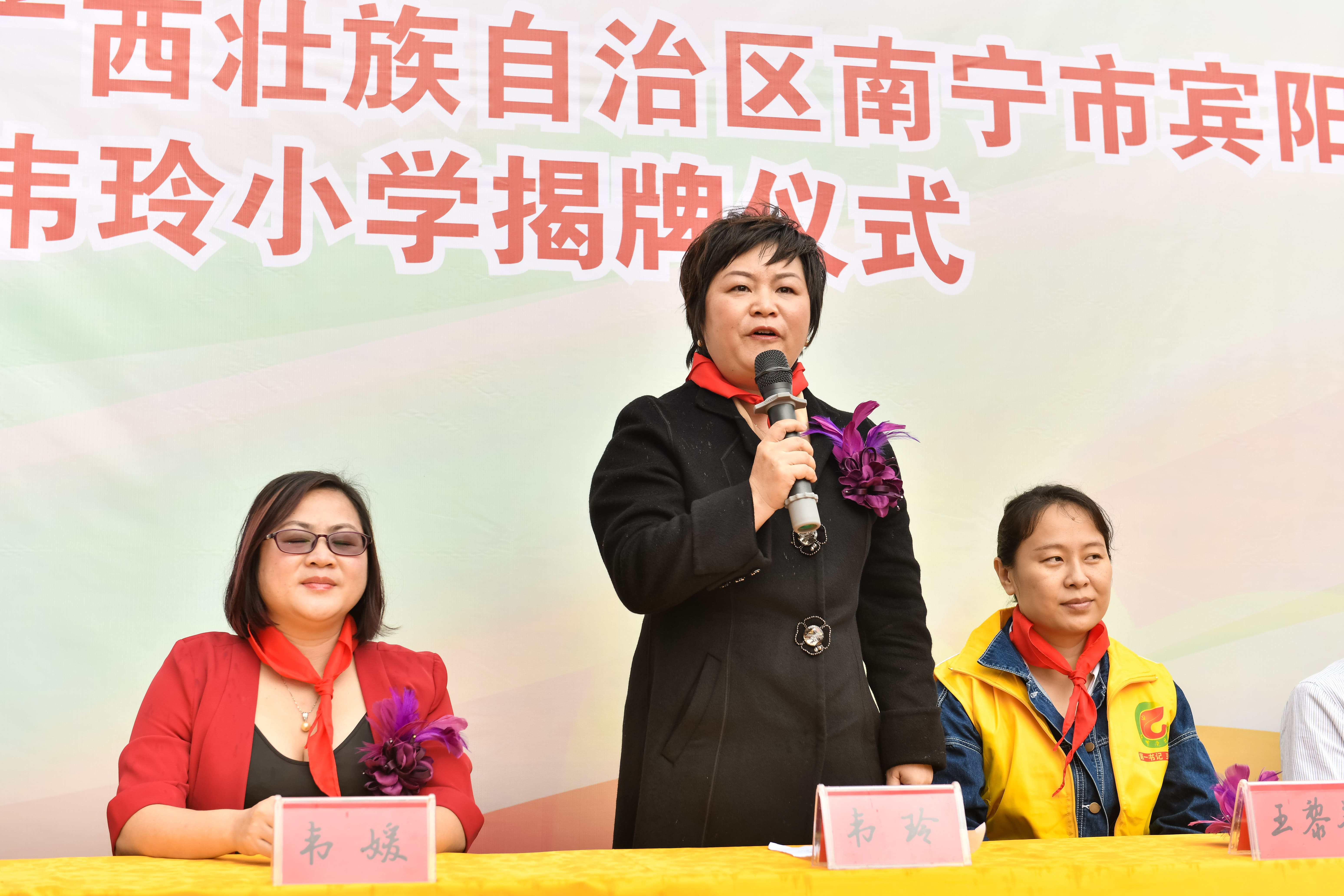 第184所  南宁市宾阳县思陇镇昆仑村xingkong（中国）官方网站韦玲小学